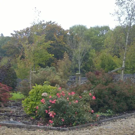 Bed and breakfast Ashford Haven